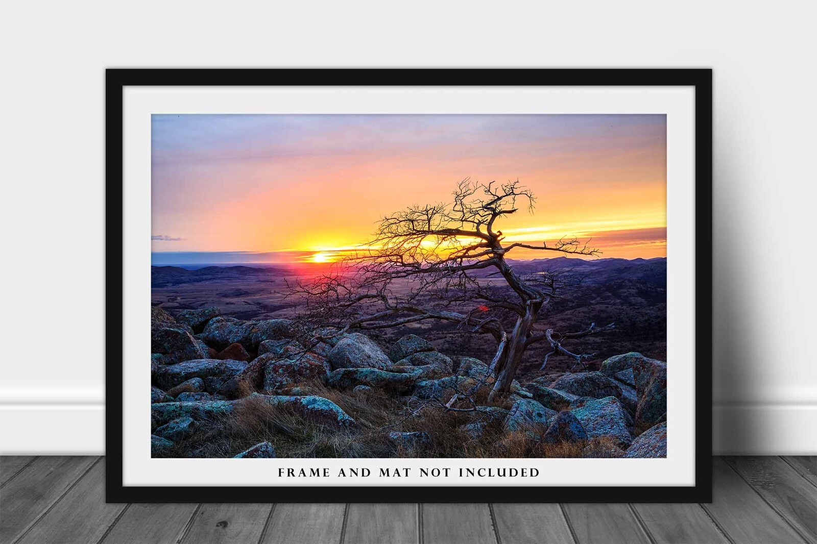 Wichita Mountains Photography Print | Tree at Sunset Picture | Oklahoma Wall Art
