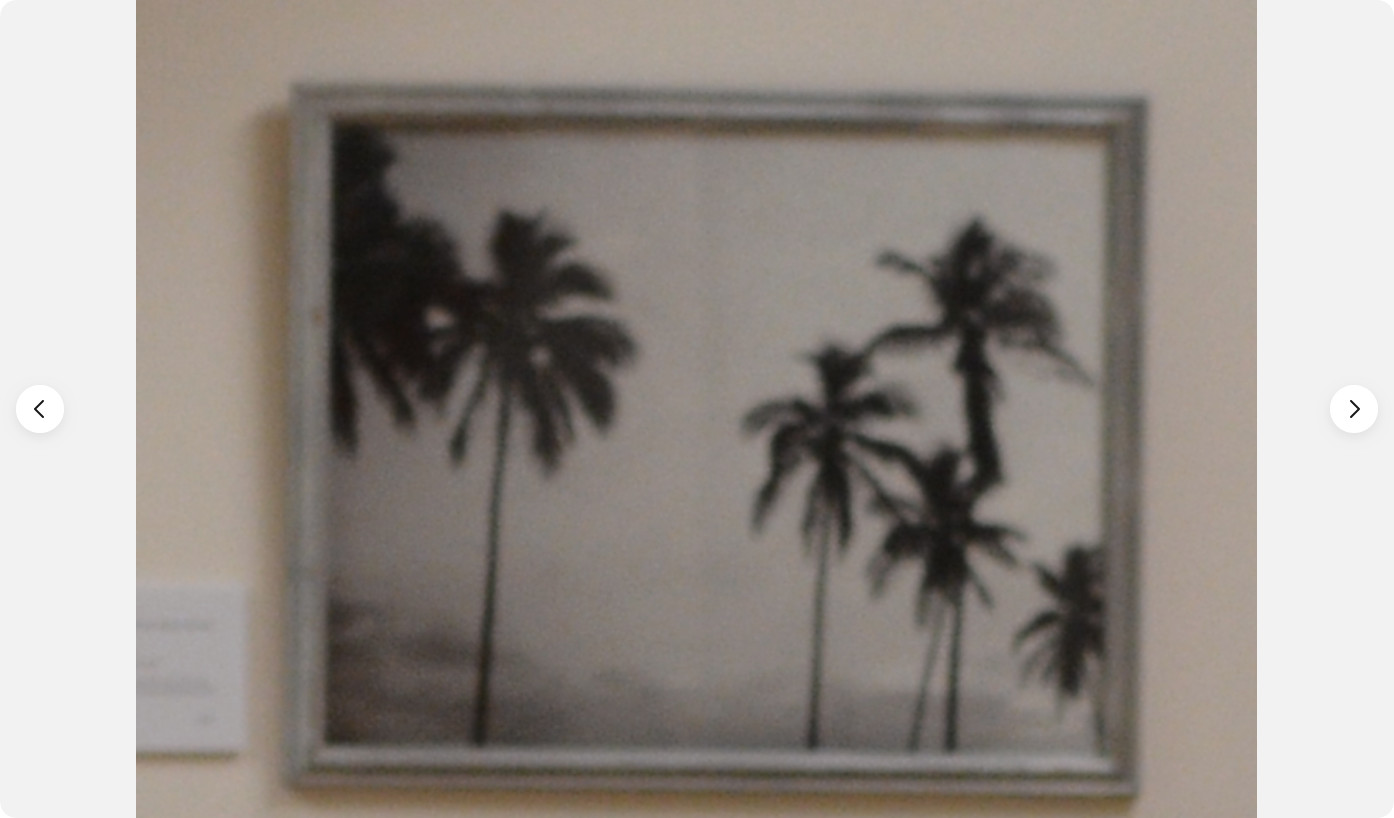 Tropicoco Palmas, Cuba, dyptych 16 x 20in Left/Right art photos, Mel Gonz, 2017