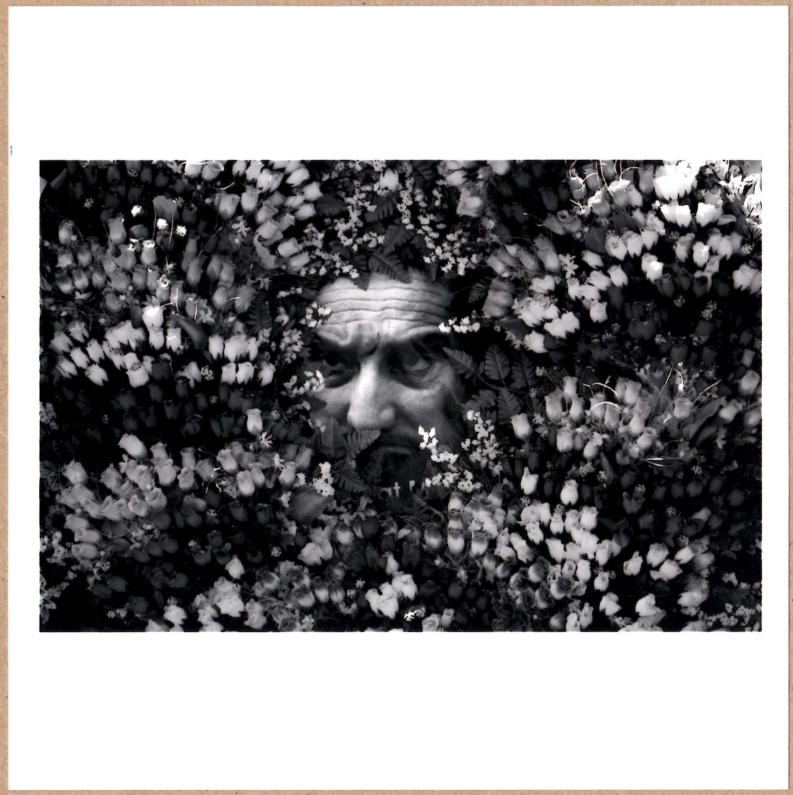SIGNED MOISES SAMAN CAMOUFLAGED BEAUTY KABUL AFGHANISTAN 2003 6 x 6 MAGNUM 2014