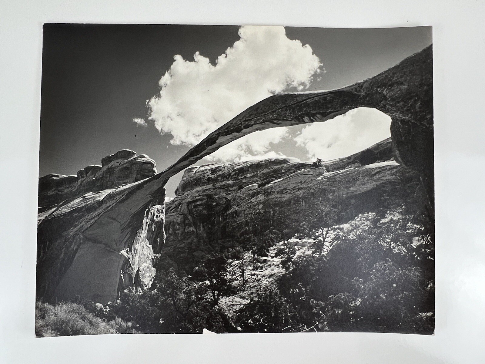 VTG Large Black & White Photograph Photography Print Arches National Park Utah