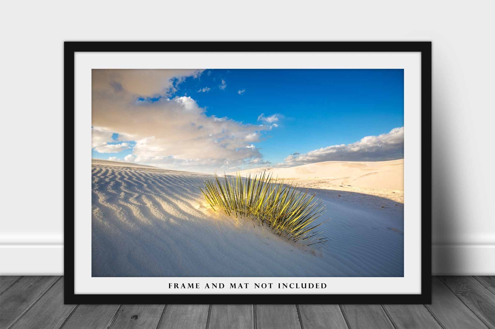 Desert Photography Print: White Sands National Park New Mexico Yucca Plant Photo