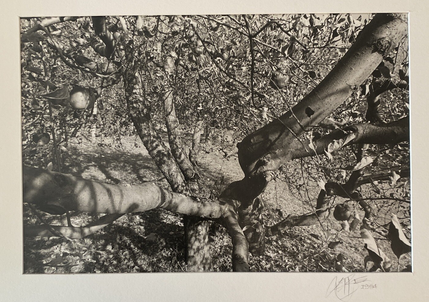 Kent Bowser (American B. 1949) Untitled II 1984 Gelatin Silver Print, Cleveland