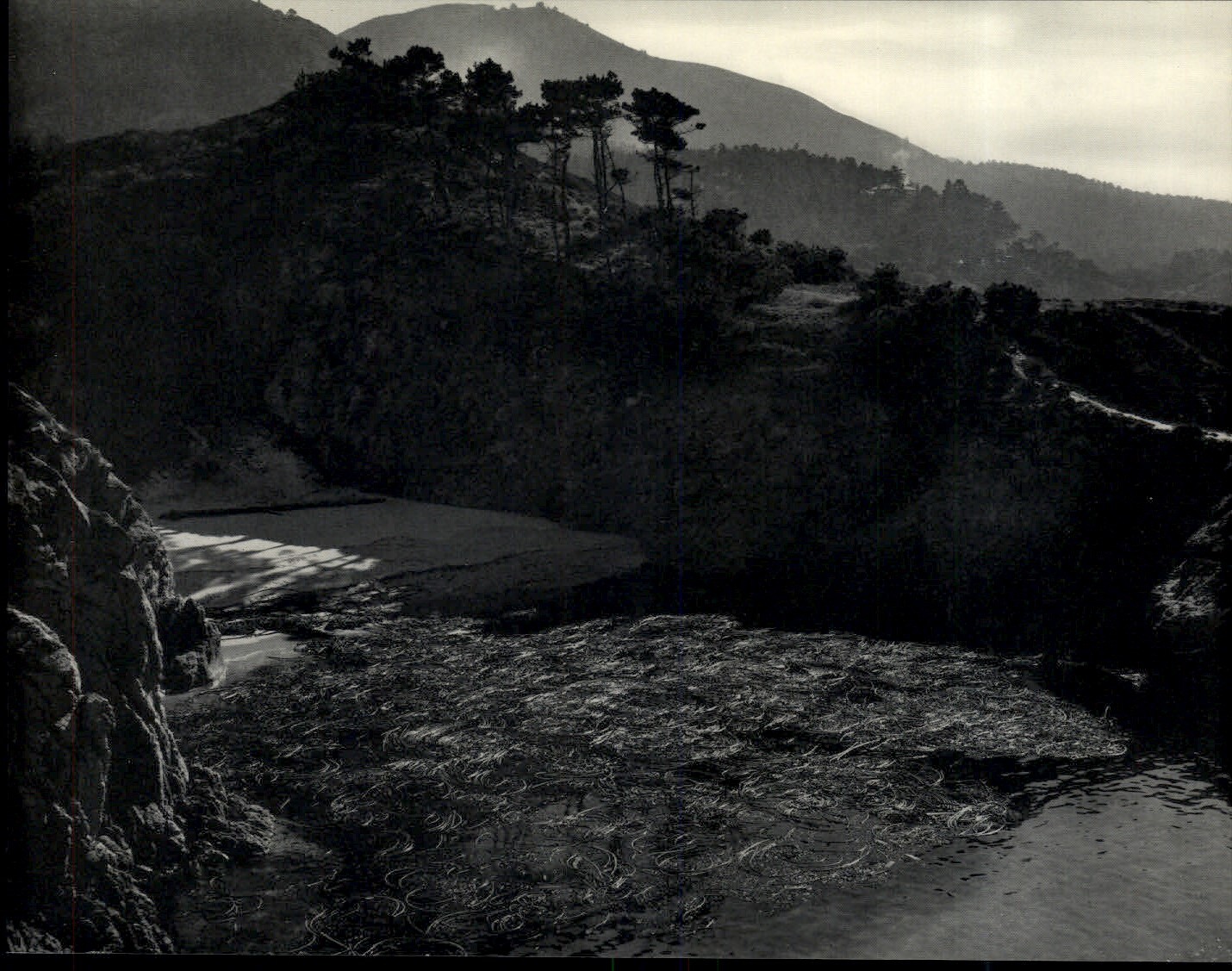 1941 1968 Original Edward Weston China Cove California Lobos Art Photo Gravure