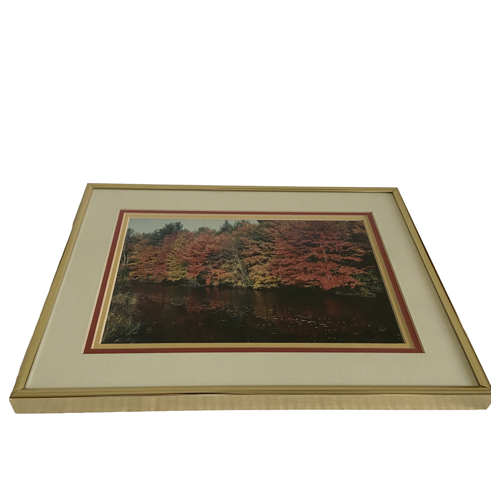 Art Photography Photo Autumn Picture Lake Matted Framed Fall Leaves