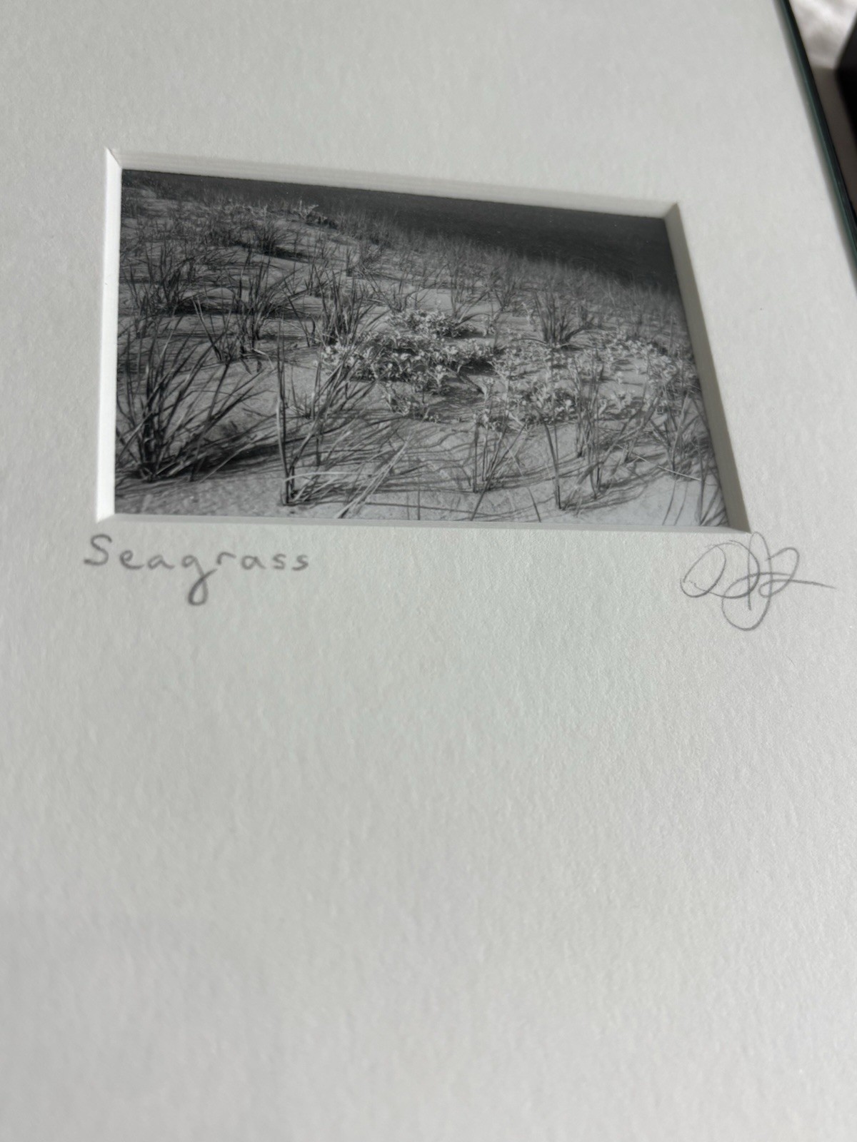 3 Black & White Minimal Modern Framed Photo Art Nature Titled Artist Signed