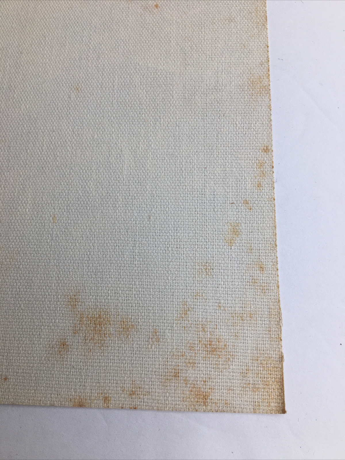 Vintage MCM Art Treasures Inc John Loo Nature Lithograph on Canvas Unframed G3