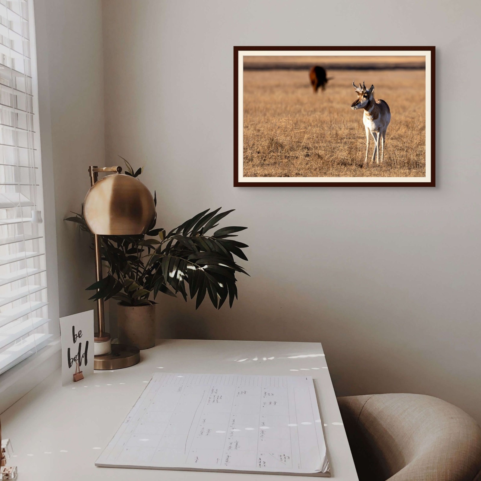 13×19 Fine Art Photography Print – Colorado Pronghorn – Archival Photo Paper