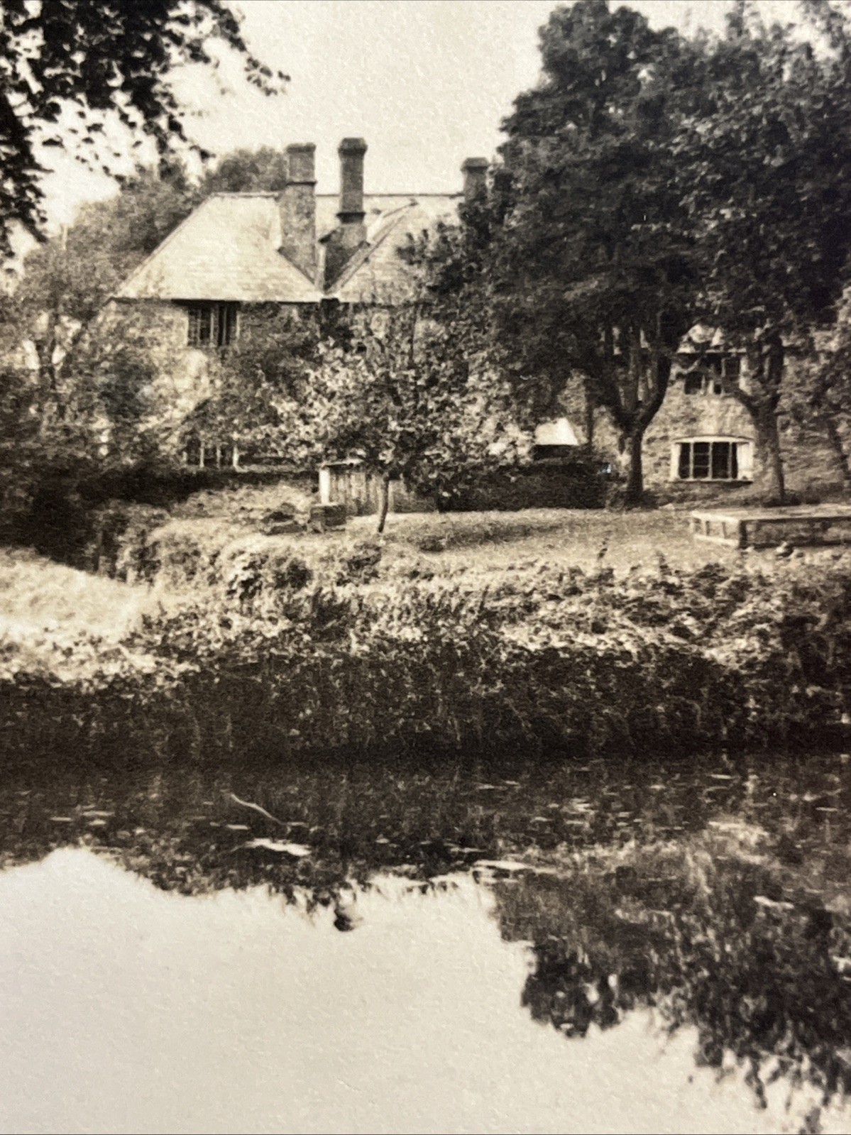“ART LANDSCAPE PHOTOGRAPHY” Sepia Home Estate Lake Tree 1950 Private Print