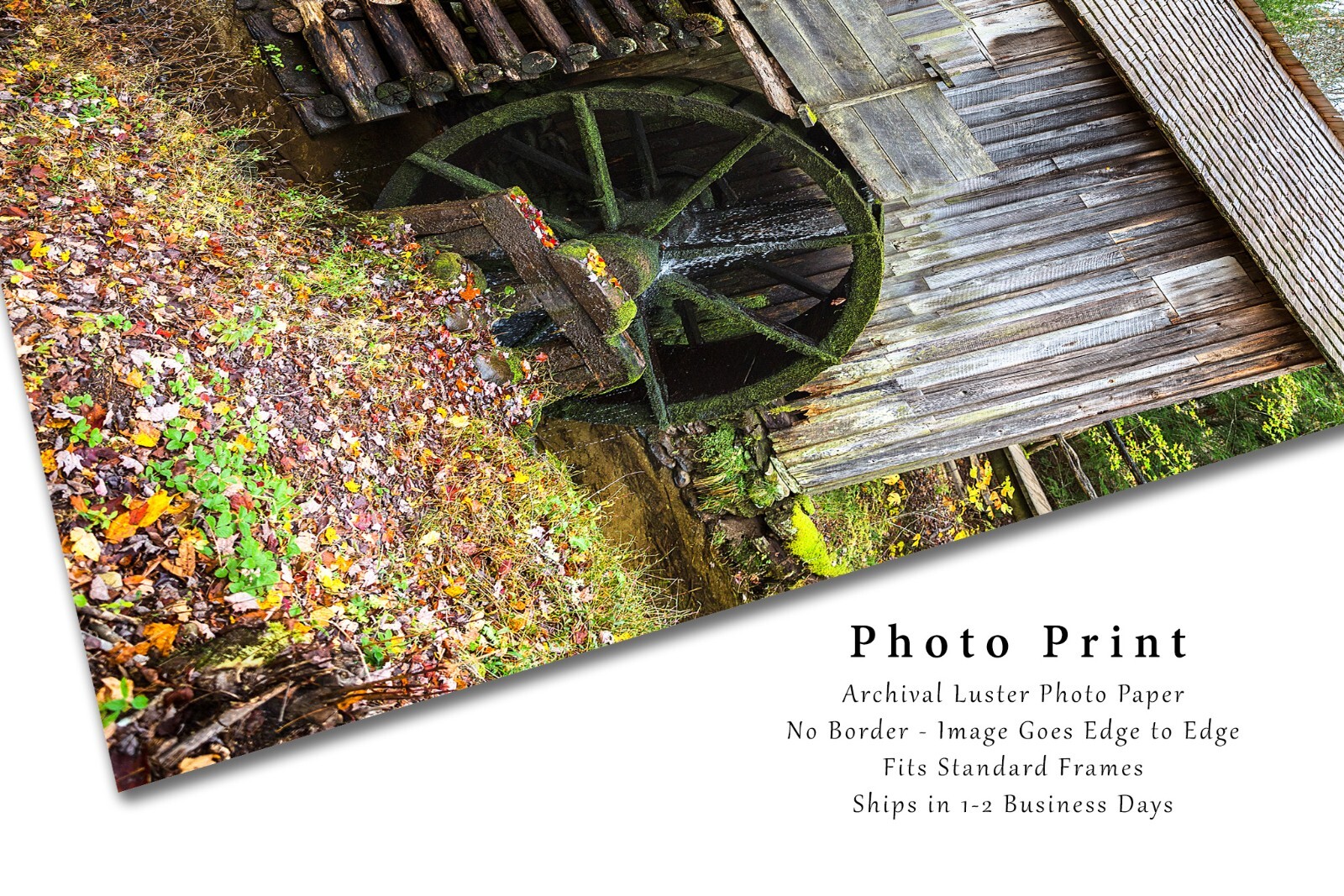 Country Photography Print – Vertical Picture of Mill in Great Smoky Mountains
