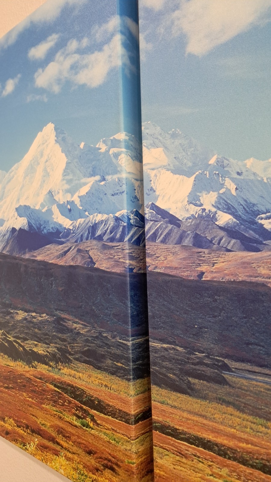 HUGE! 3x 30″x28″ Triptych print on canvas – Denali National Park.
