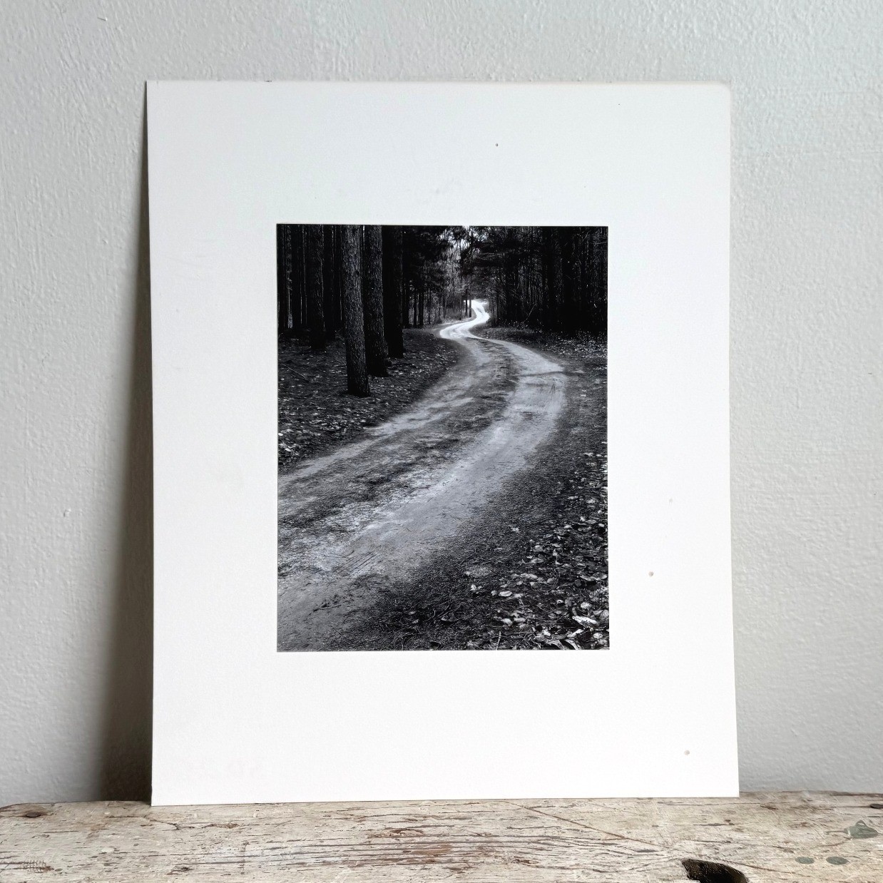 Black and White Winding Forest Path Landscape Photo Matted Art Print