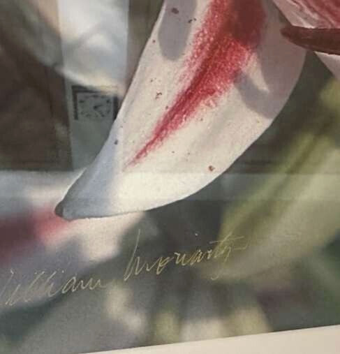 Art Photo 18×24″ William Moriarity Oriental Lily FRAMED matted signed Glass NICE