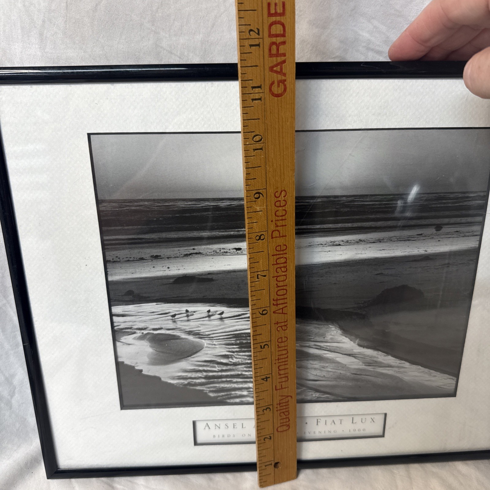 Ansel Adams Birds on a Beach Evening Framed Framed 1966 Photo 12×14 Wall Art VTG