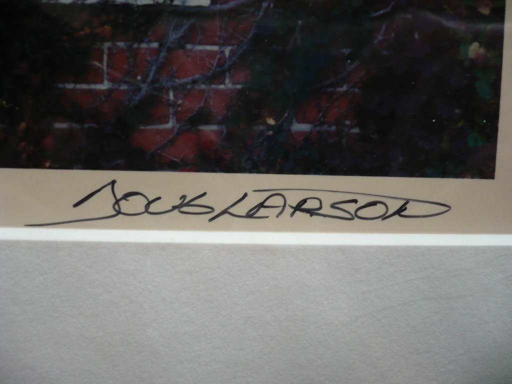 DOUG LARSON, MODERN PHOTO WI, Wisconsin photography, VINES MODERNISM VINTAGE