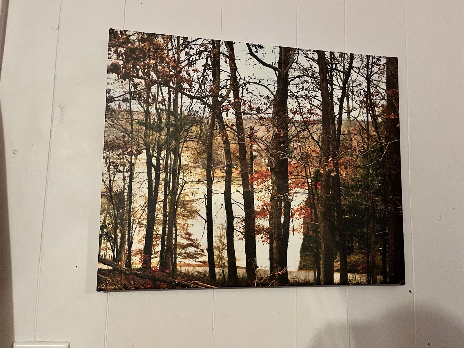 Autumn Lake Photo