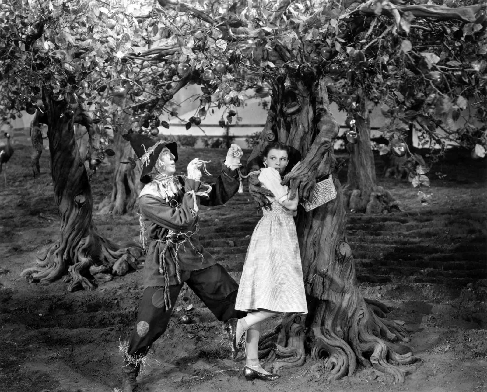 Wizard Of Oz Dorothy and Scarecrow Haunted Forest Photo Poster 13×19