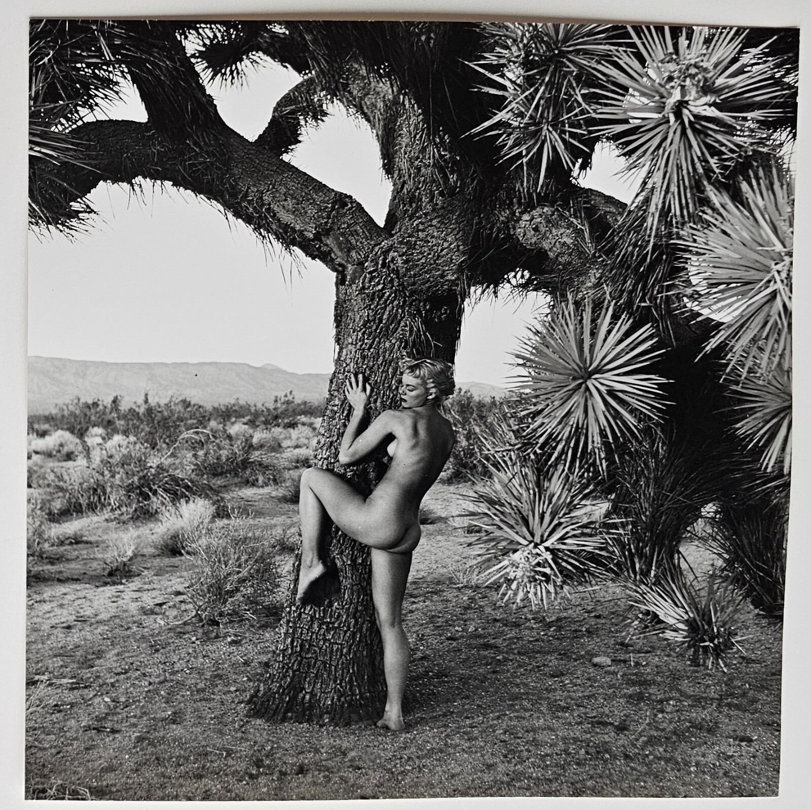 Andre De Dienes Nude Woman & Joshua Tree Photo Silver Gelatin Print 1960, COA