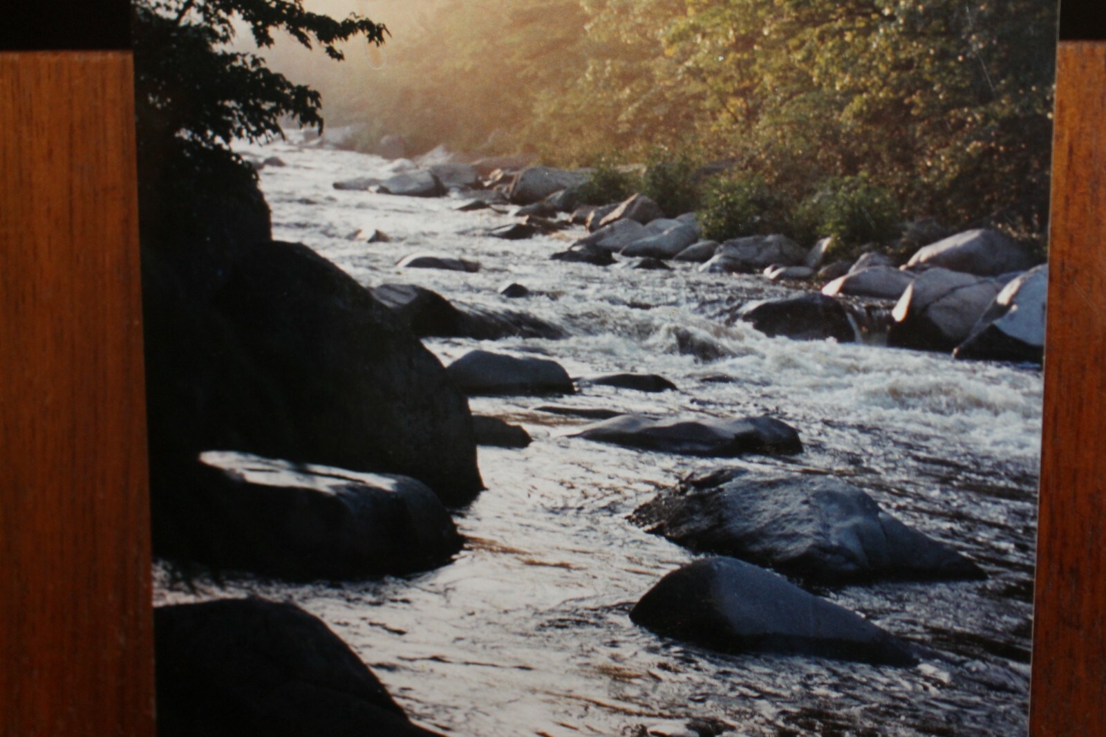 Vintage 8×12 Photo W. Beebe East Tennessee Mountain Stream