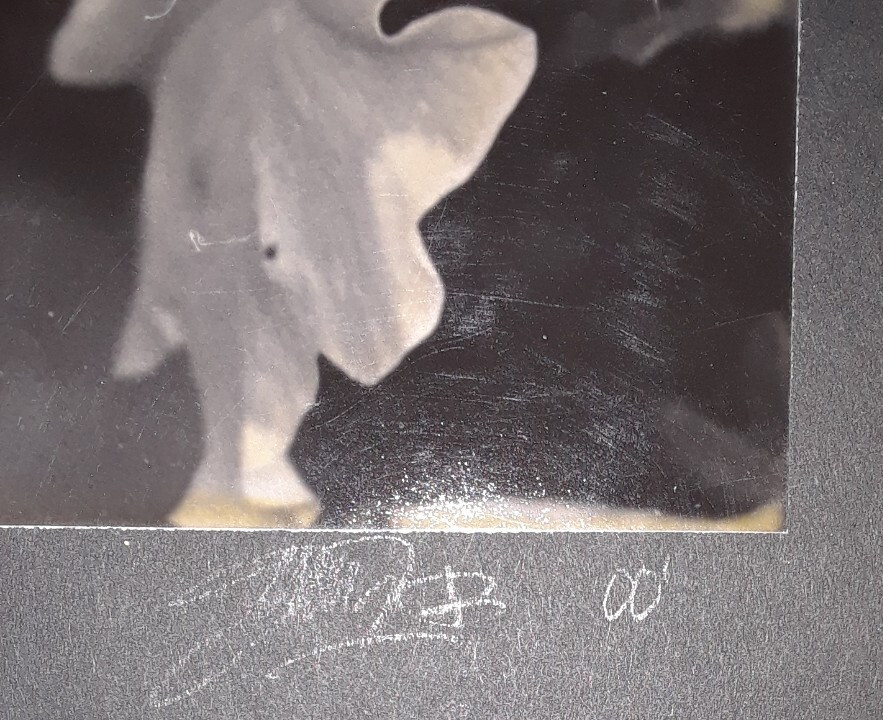 Original Signed Photos on Board Lot of 4 11 x 14 Black White Board Various