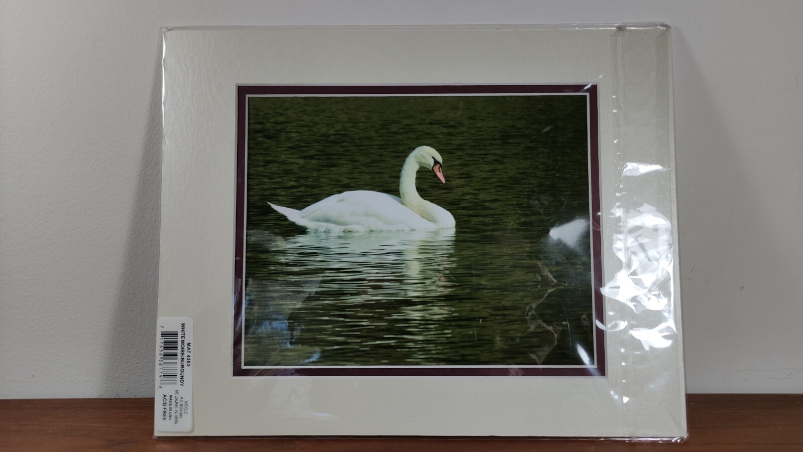 Original Photo Art Print Swan Photography Matted Signed by Ann Copeland Sealed