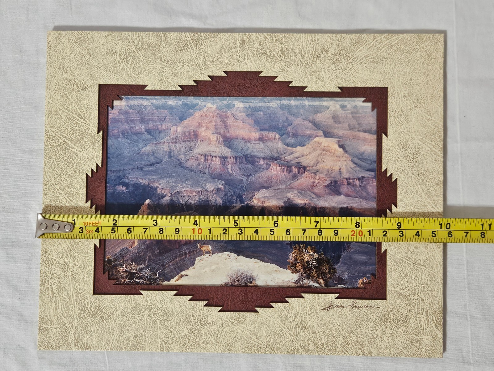 Grand Canyon Matted Photograph. Powell Point, South Rim. James Thomson. Arizona.