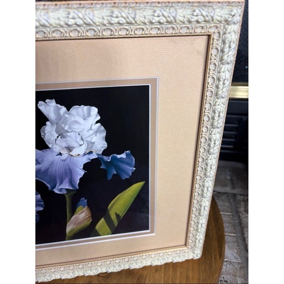 A. Bush Purple Irises Floral Art Print Photography Framed 15.5″ EUC GIFT Decor