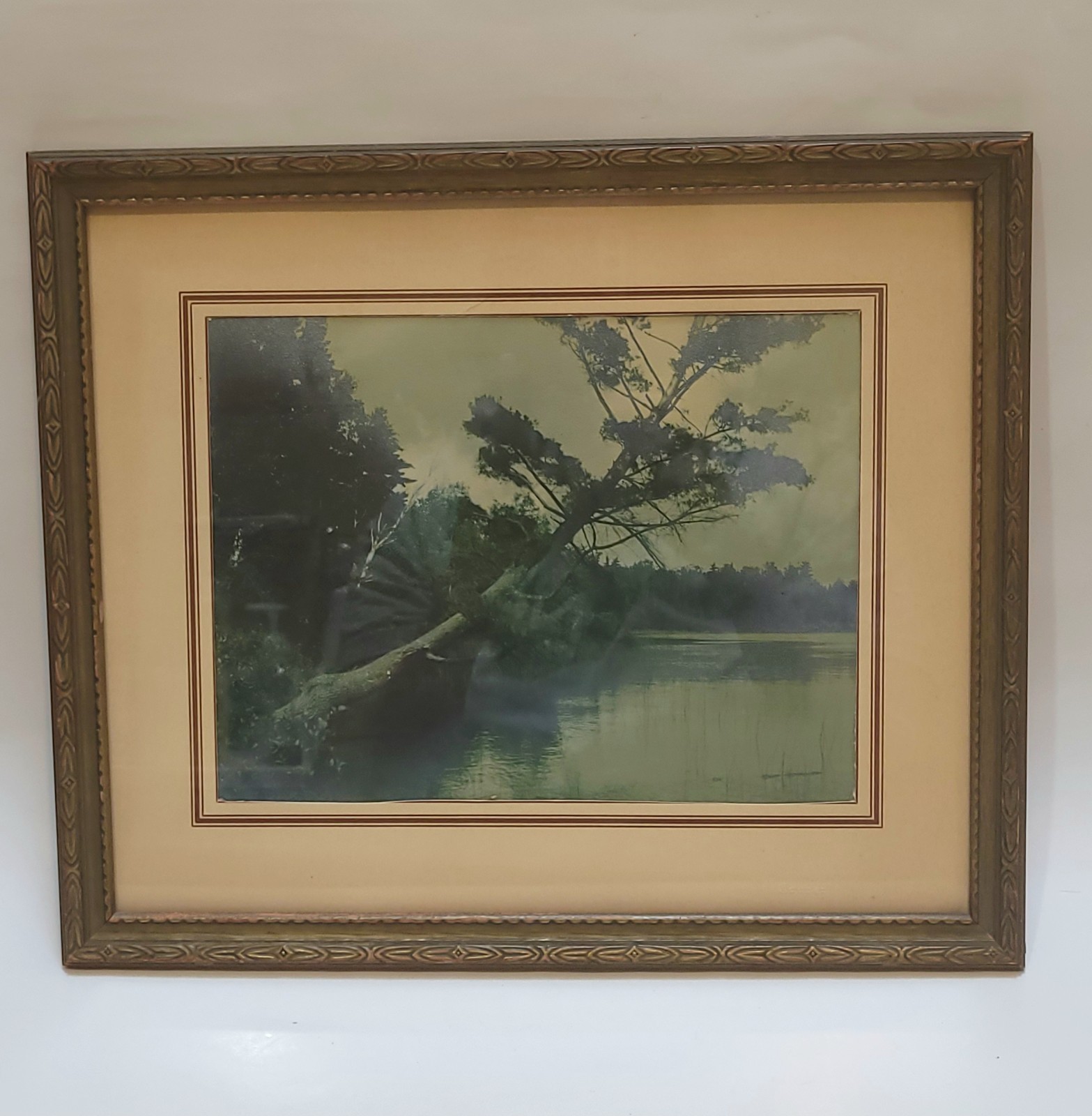 Vintage Scenic Photograph Framed Art Lost Lake Michigan, Trees Antique Art 1939