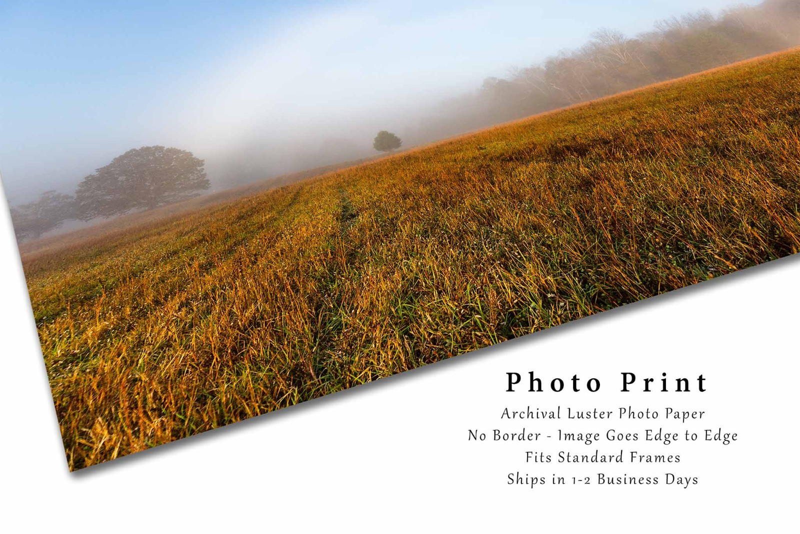 Fog Bow Photography Print: Tennessee Great Smoky Mountains Landscape Photo