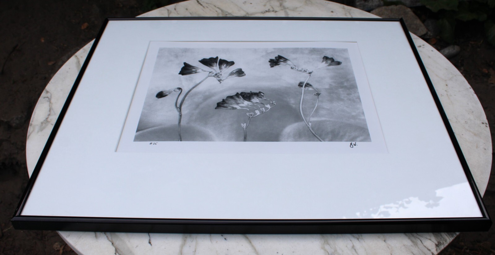 HUNTINGTON WITHERILL SIGNED 1991 Freesias Special Edition Collection #26 Framed