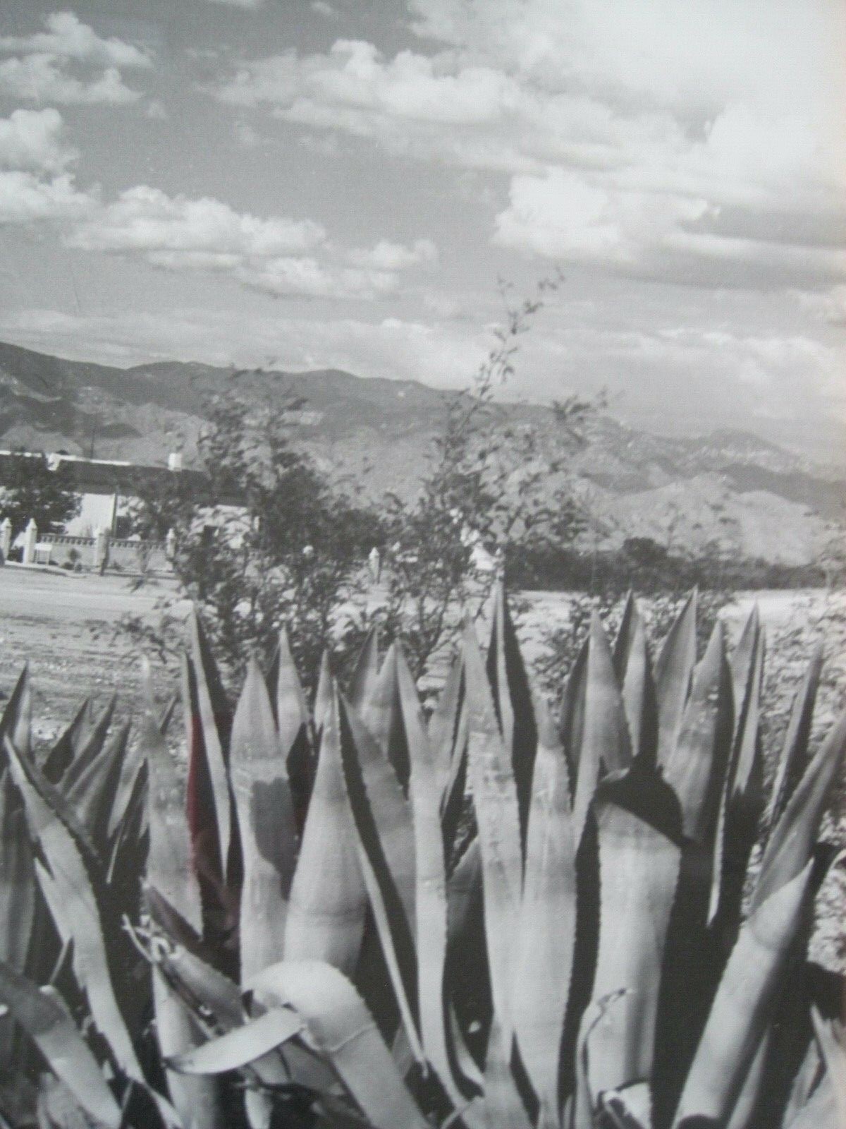 Chuck Abbott Photo Black & White Church In Desert w/ Yucca 16″ x 20″