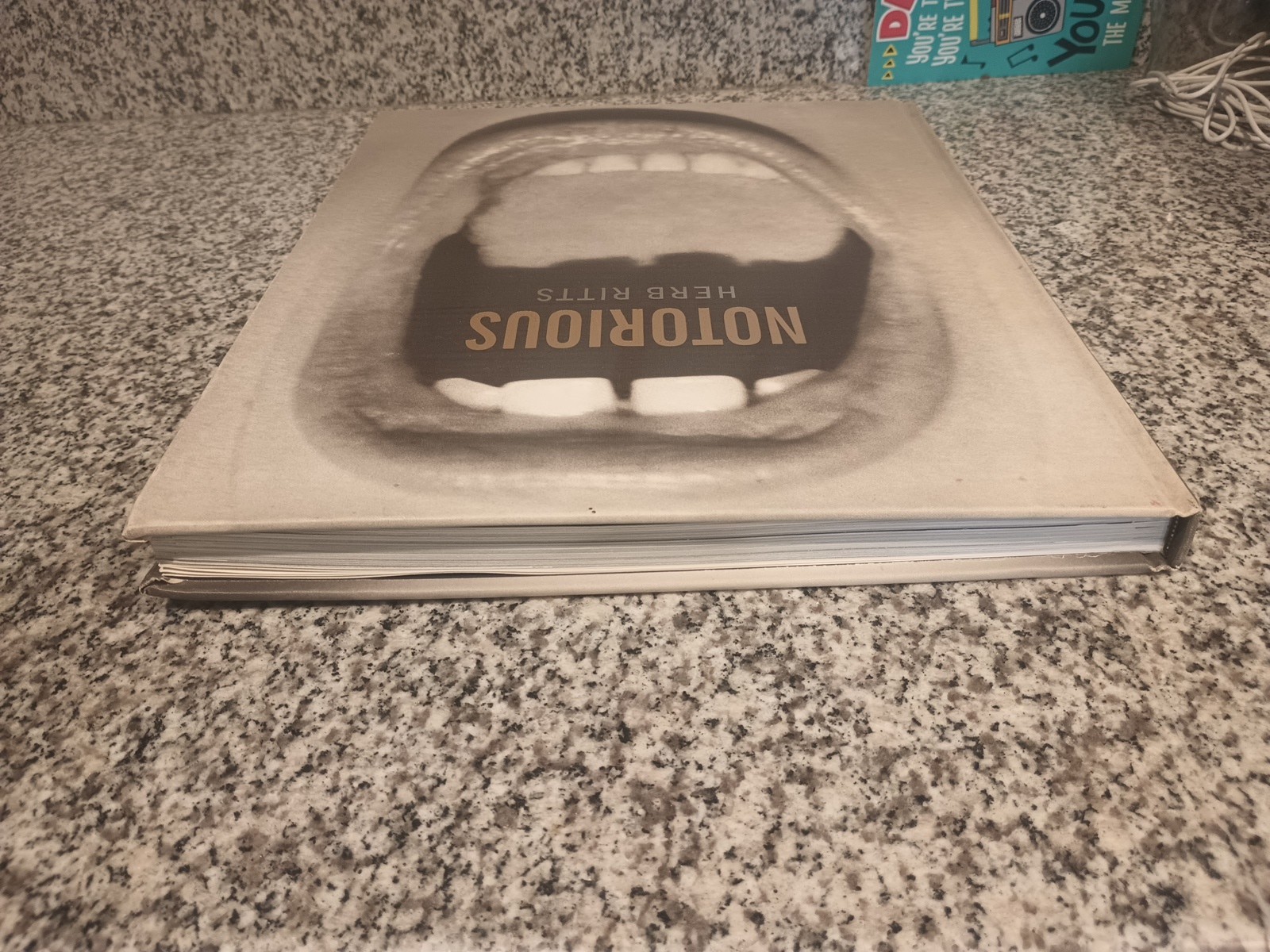 NOTORIOUS Herb Ritts Photo book Photography bulfinch press 1992 W300×H390mm Used