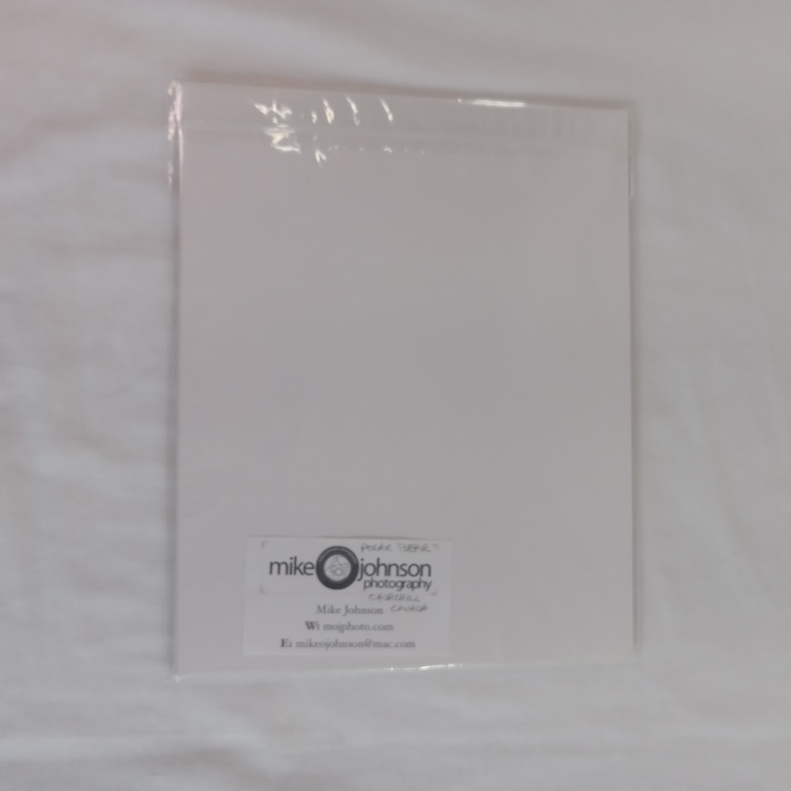 Polar Bear Photography Prints Set of 2 Matted Wildlife Art Photos Mike Johnson