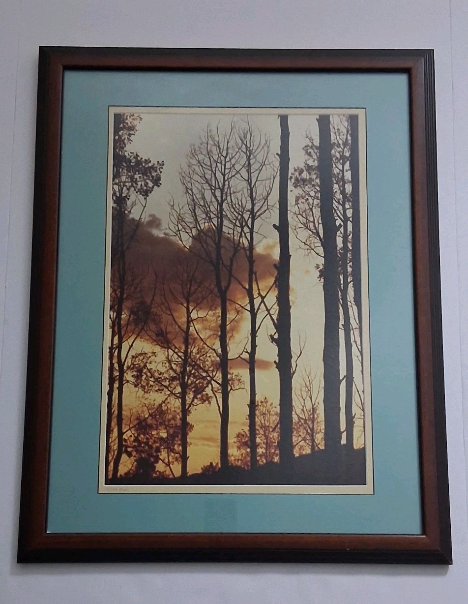 Framed Limited Edition Photograph — Sunset Silhouette Forest — Signed & Numbered