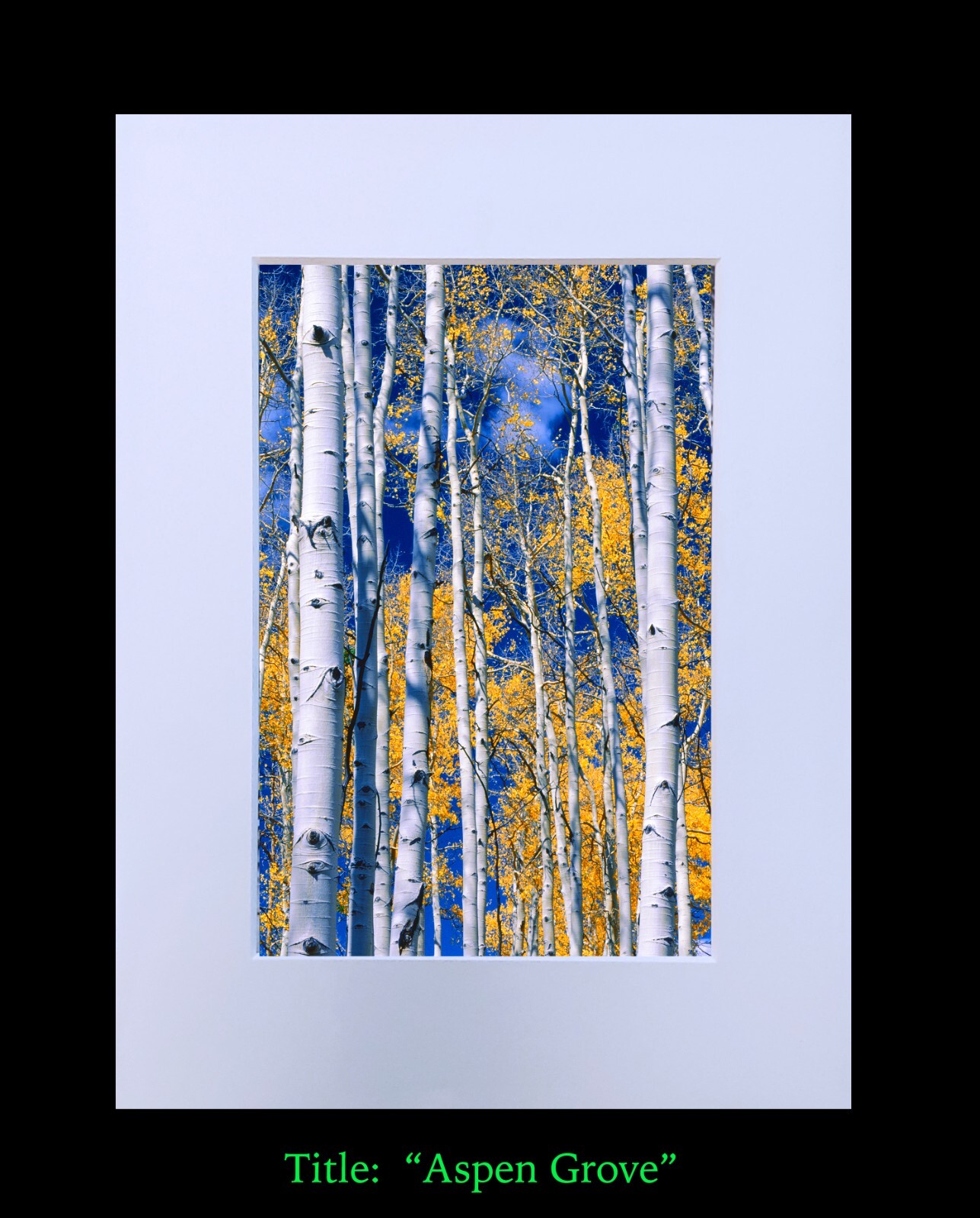 matted photograph, 5″x7″ print, mounted 3/16″ foam with 8″x10″ single white mat