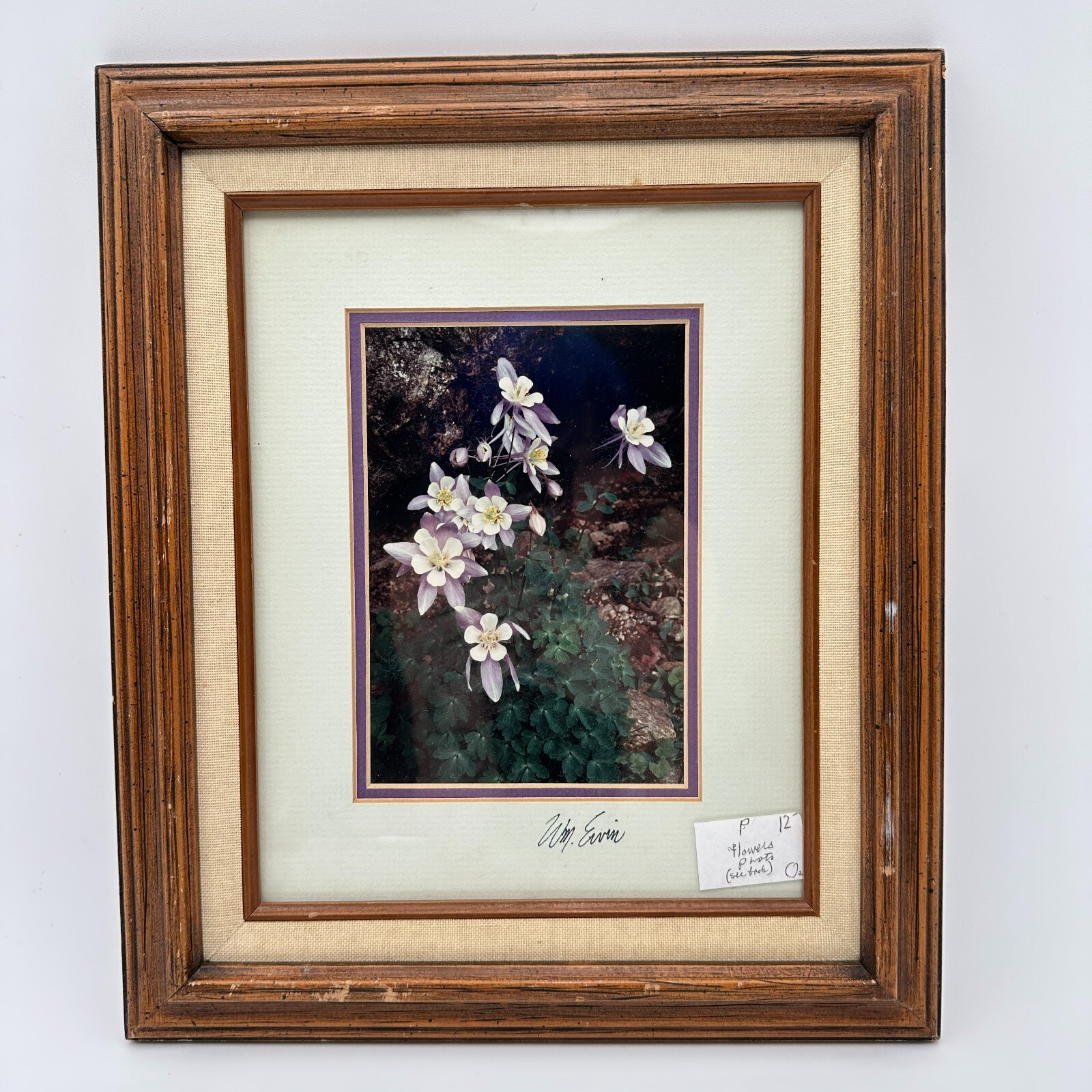 Vtg Natural Imagery Colorado Blue Columbine Photography by William Ervin Signed