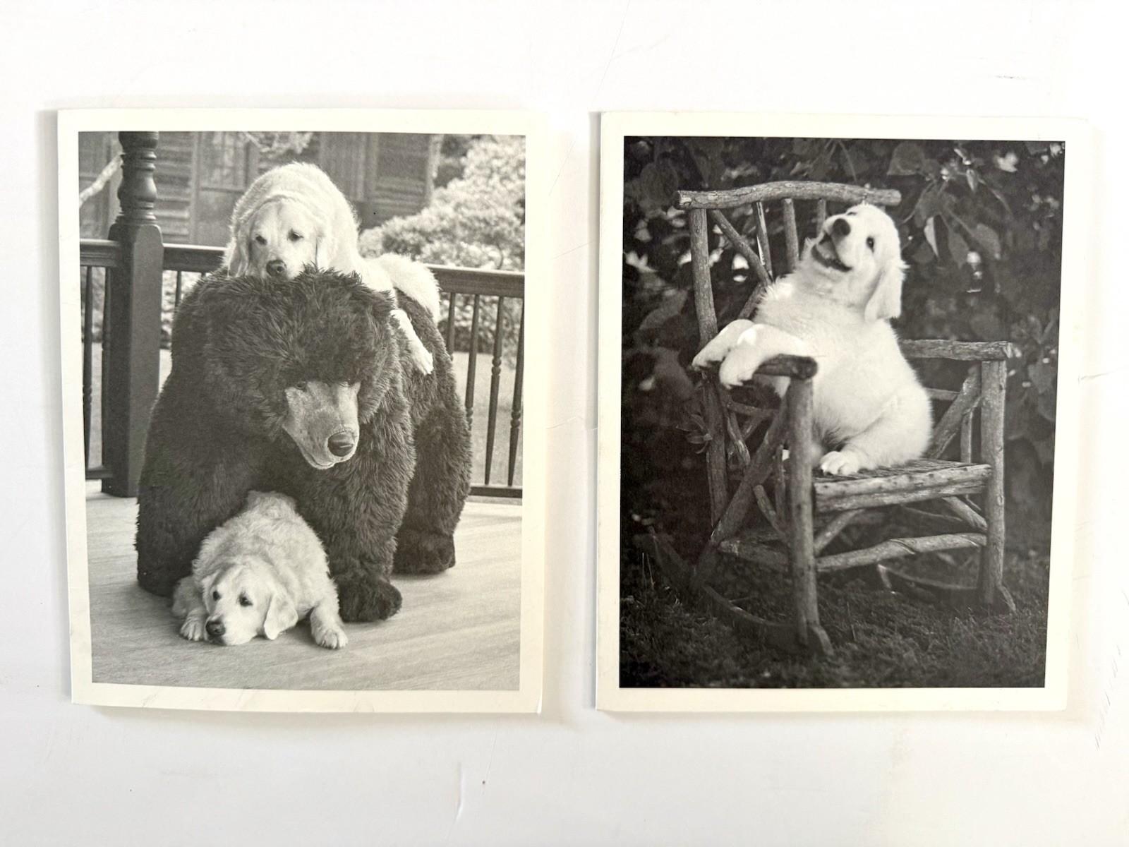 Pair of Bruce Weber Original SIGNED Cards with Provenance 2017 & 2010 Rare