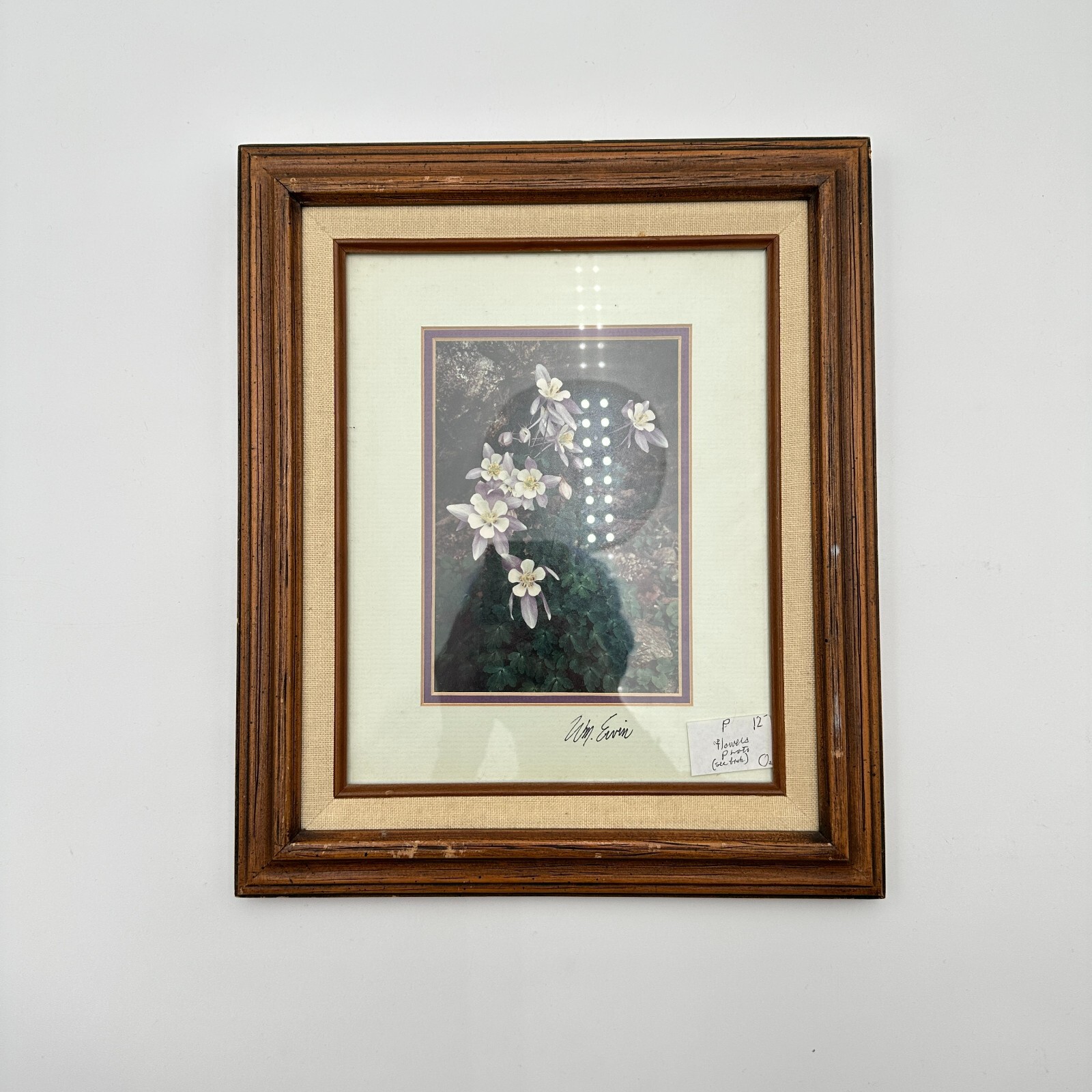 Vtg Natural Imagery Colorado Blue Columbine Photography by William Ervin Signed