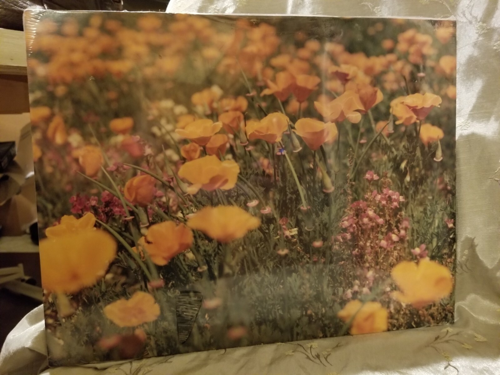 VTG Photograph in Plastic of a Field of California Poppies by Walter Arrufat R