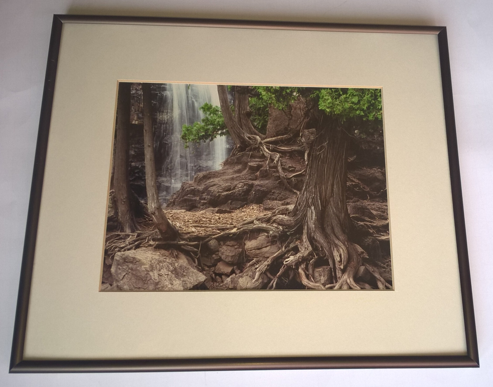 Jay Anderson Photograph Minnesota Gooseberry Falls Framed Art Forest Waterfall
