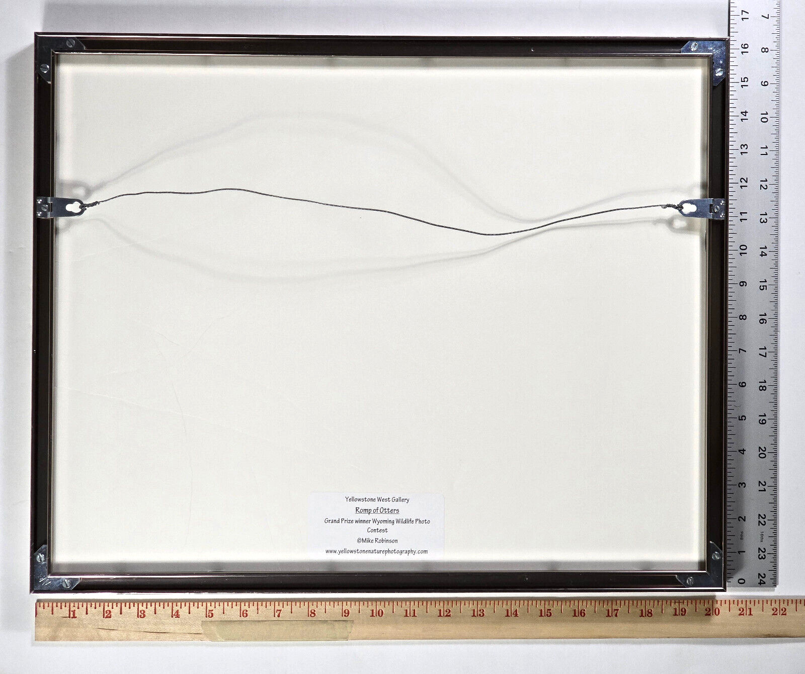 Signed Matted & Framed Award Winning Photograph by Mike Robinson, Romp of Otters