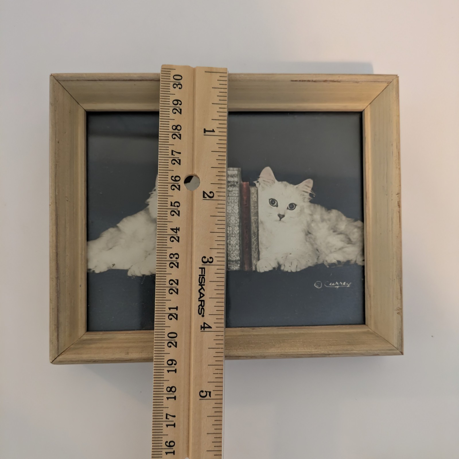 Bradley R Currey Cats Pictures Lot Of 6 White Cats 5.5″ X 4.5″ Piano Books Chair