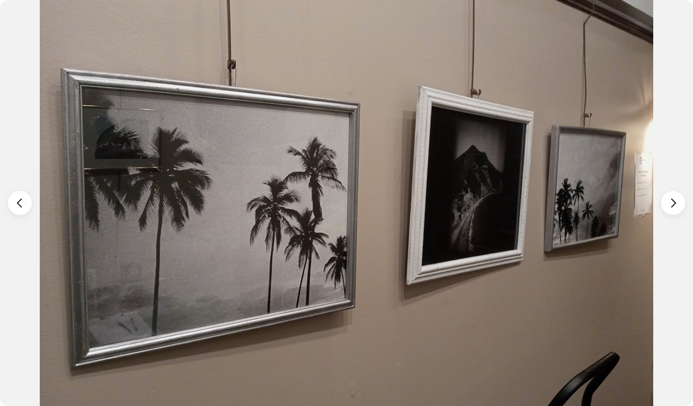 Tropicoco Palmas, Cuba, dyptych 16 x 20in Left/Right art photos, Mel Gonz, 2017