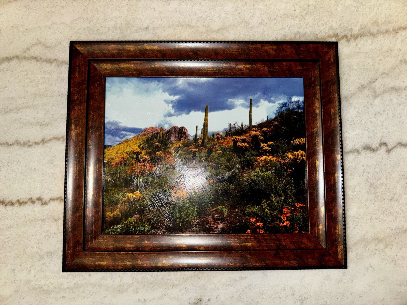 Arizona desert art work Primo Vision by Robert Gertz 18” x 15”.