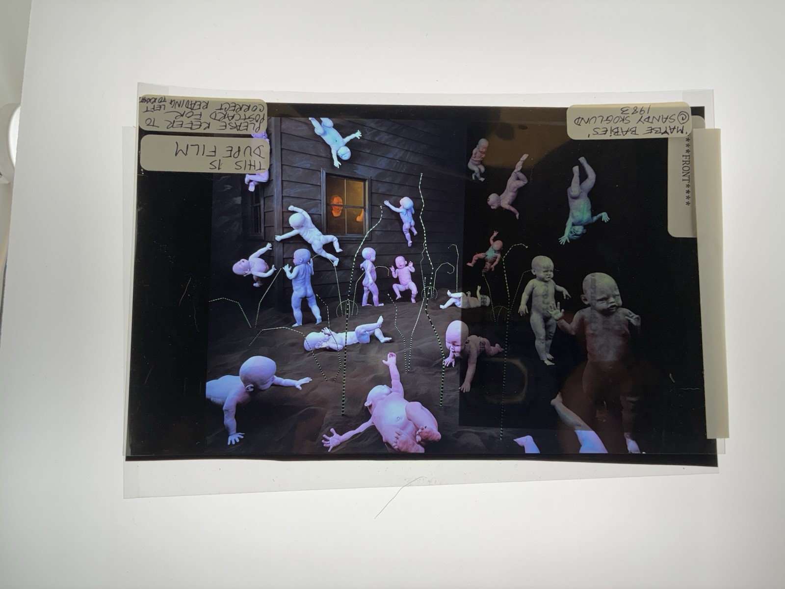 Sandy Skoglund Transparency Archive Lot Revenge Goldfish Radioactive Cats