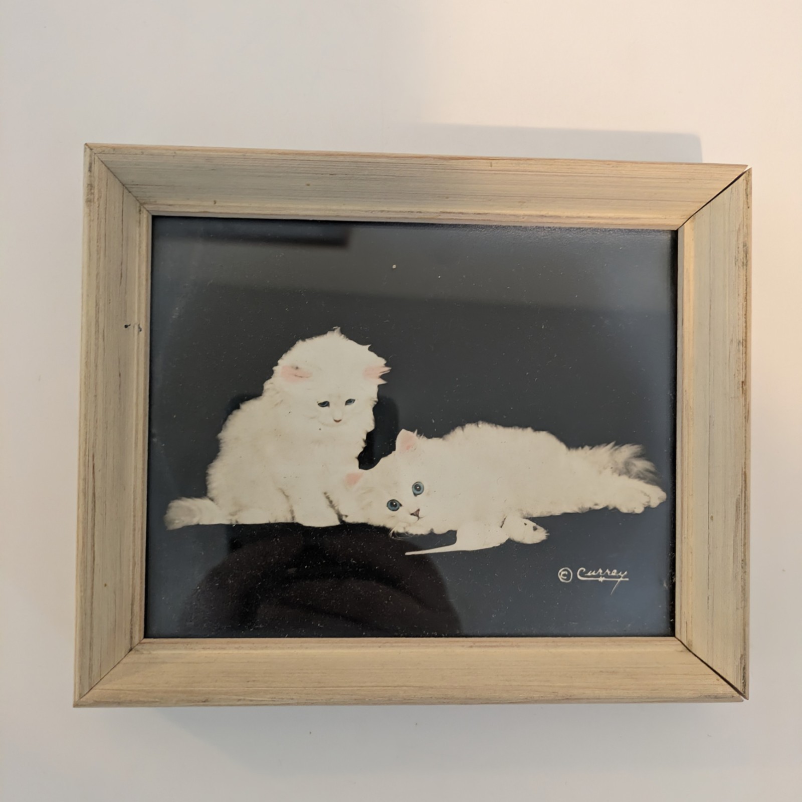 Bradley R Currey Cats Pictures Lot Of 6 White Cats 5.5″ X 4.5″ Piano Books Chair
