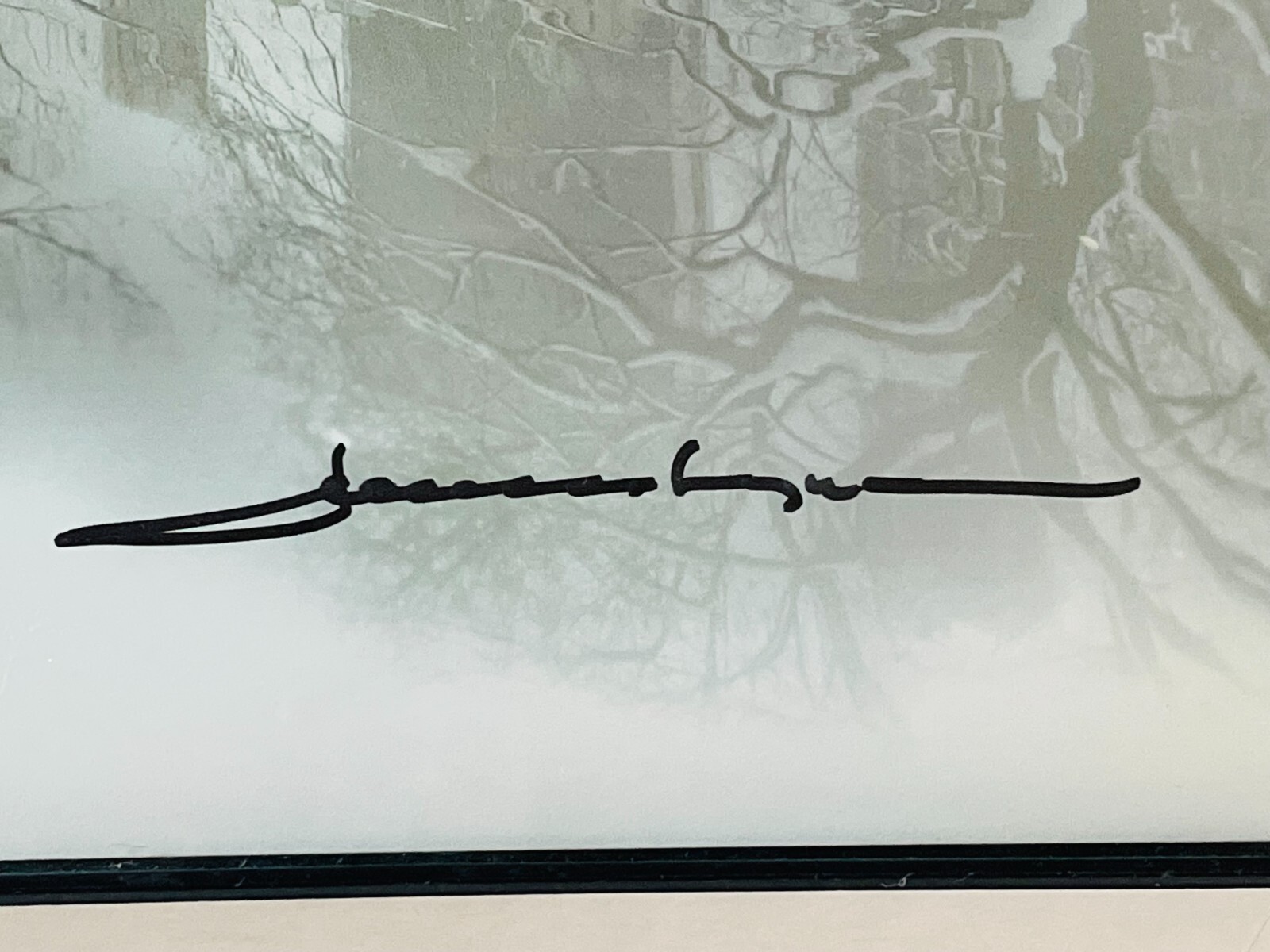 THE GATES Central Park New York City 2005 Signed Photograph- 8 x 10″