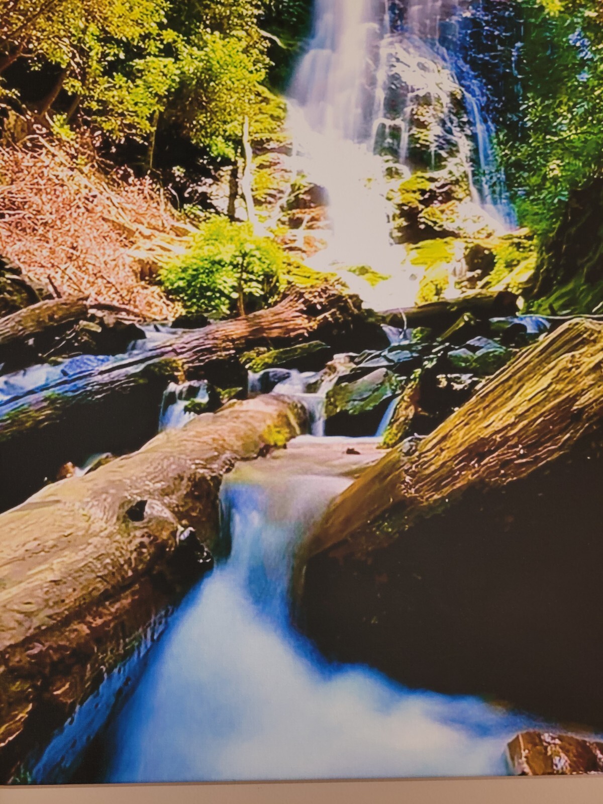 Canvas Photo Mingo Falls Cherokee, NC 16×20 Signed Ltd Edition Gallery Wrapped