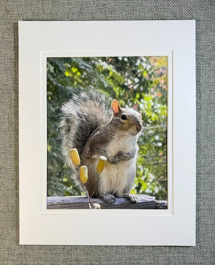 Hungry Squirrel Digital Watercolor Original Photograph 8 X 10 Mat 11 X 14 Signed