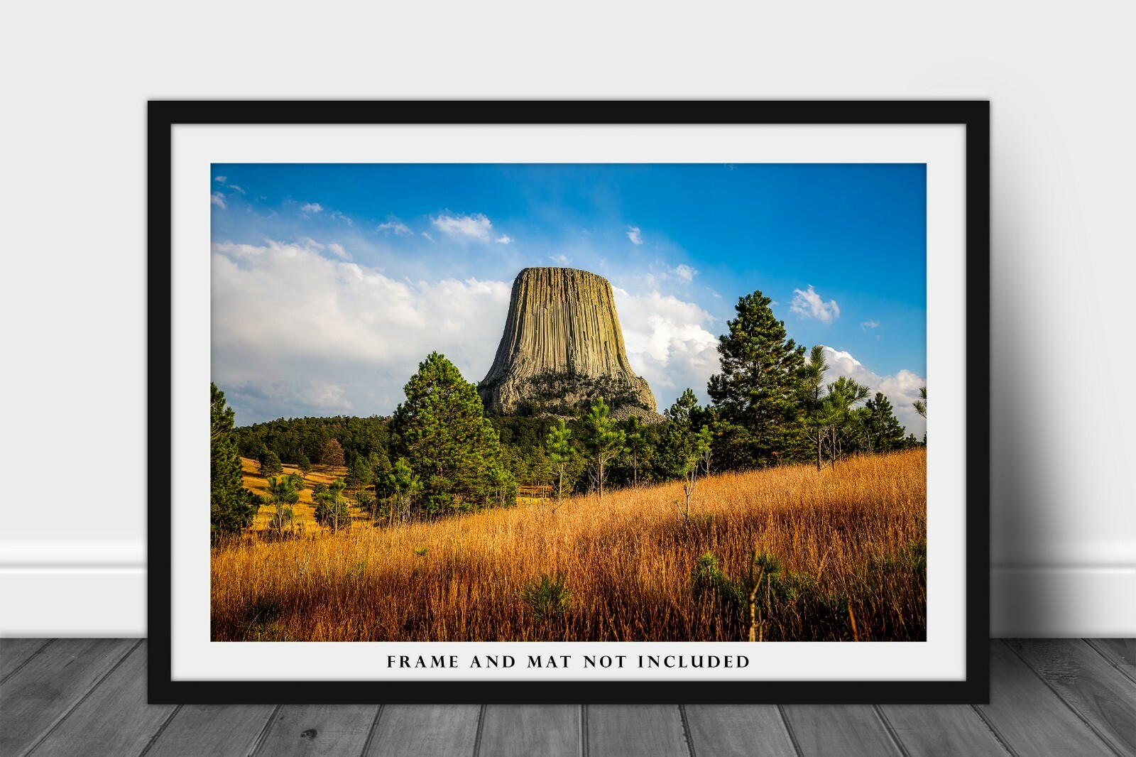 Western Photography Print – Picture of Devils Tower in Black Hills of Wyoming
