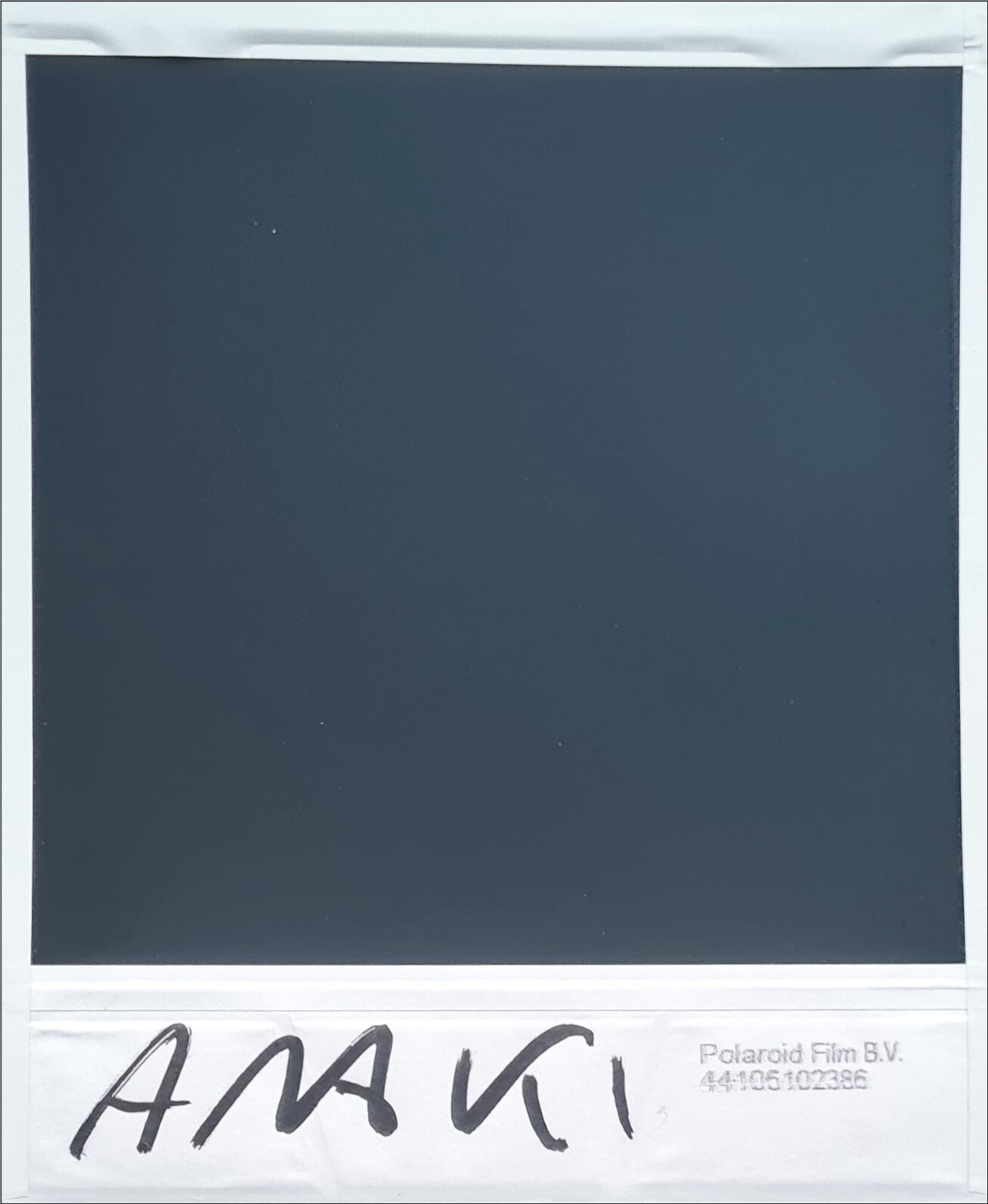 NOBUYOSHI ARAKI *Cosplay*POLAROID ORIGINAL SIGNED & CERTIFIED BY ARTIST